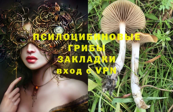 синтетический гашиш Абинск