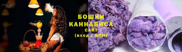 крисы Абдулино