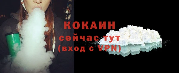 тгк Абаза