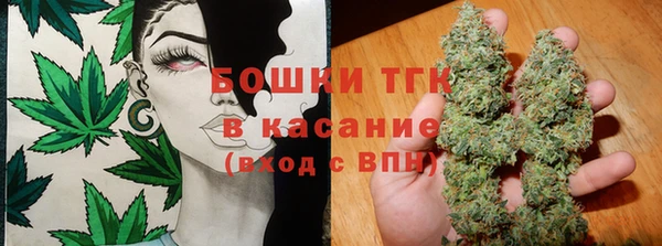 тгк Абаза