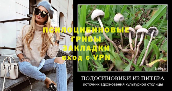 тгк Абаза